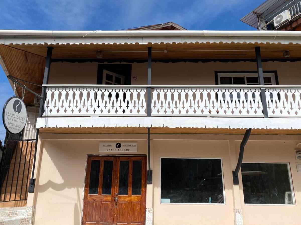 Cat In The Cup B&B Bocas Town Exterior photo