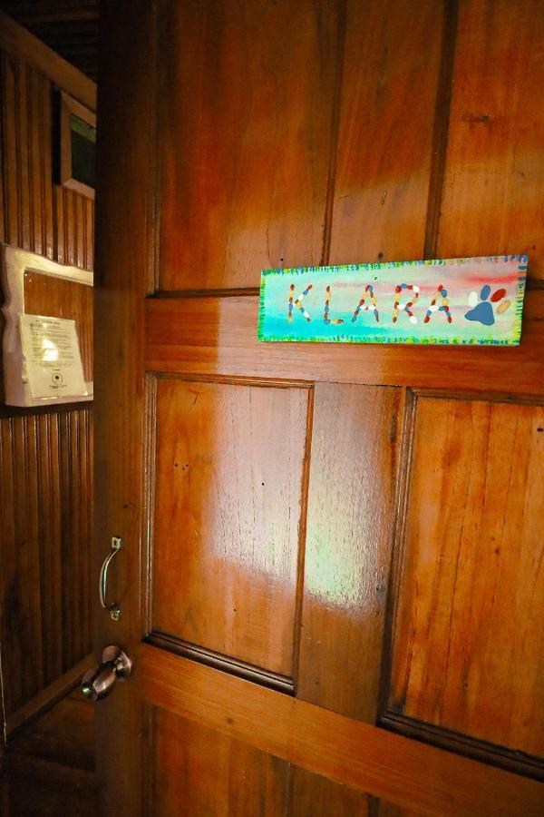 Cat In The Cup B&B Bocas Town Exterior photo